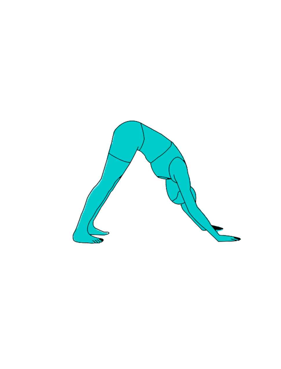 How to Downward Dog Properly: Correct Form, Mistakes, and Variations - A Step-By-Step Guide - Boardgains
