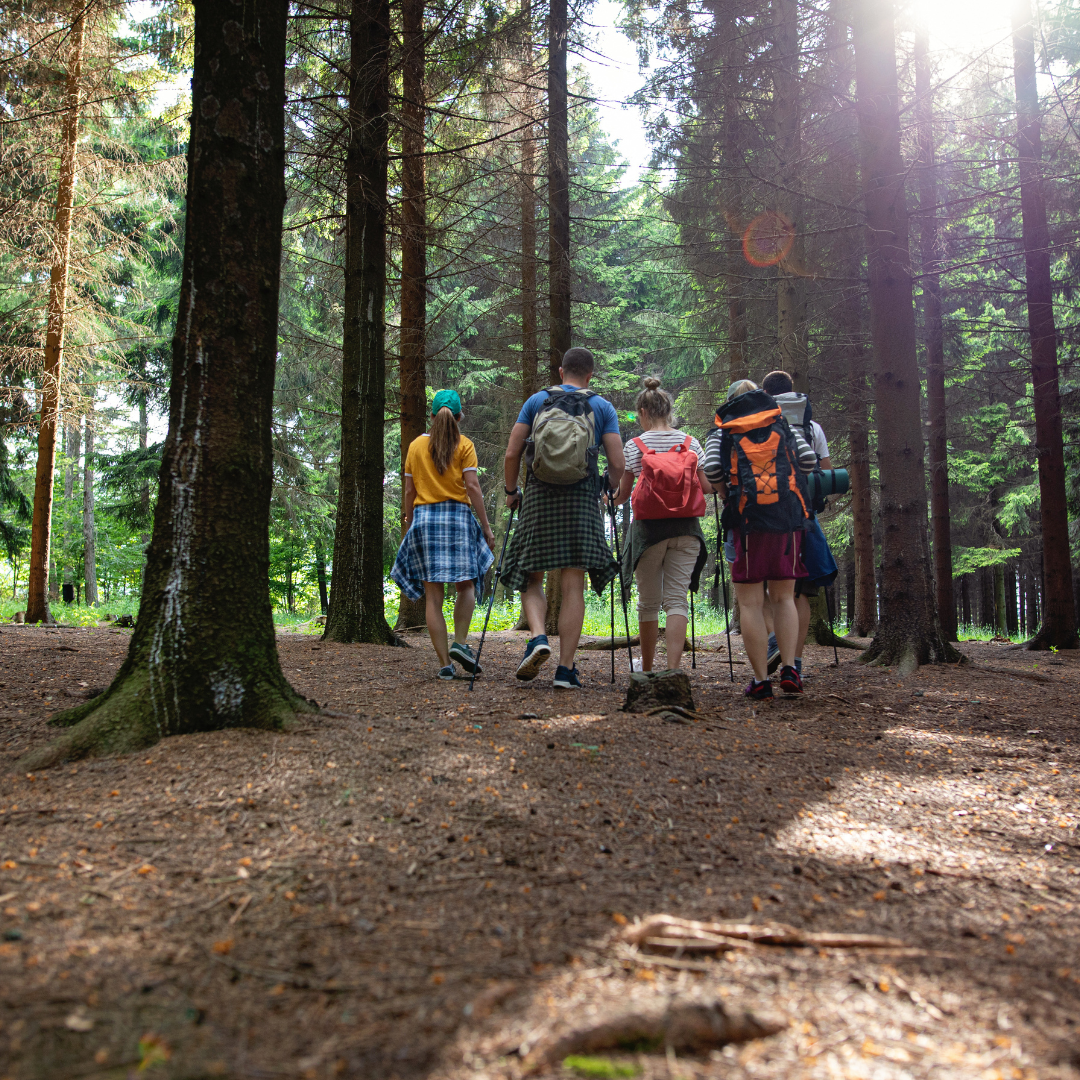 Outdoor Adventures: Exploring Nature for Active Recreation