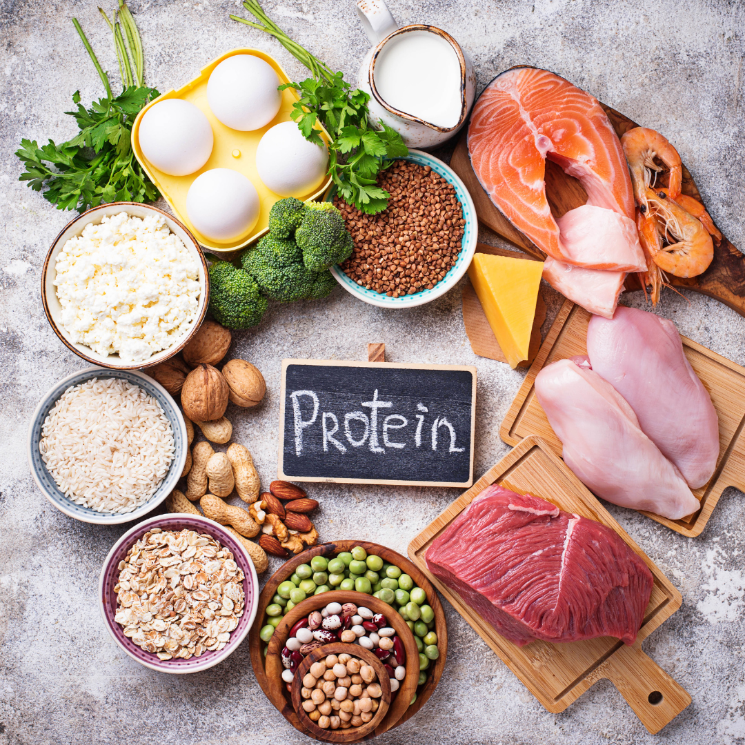 Protein Powerhouse: Unleashing the Strength and Sculpting Your Body Composition