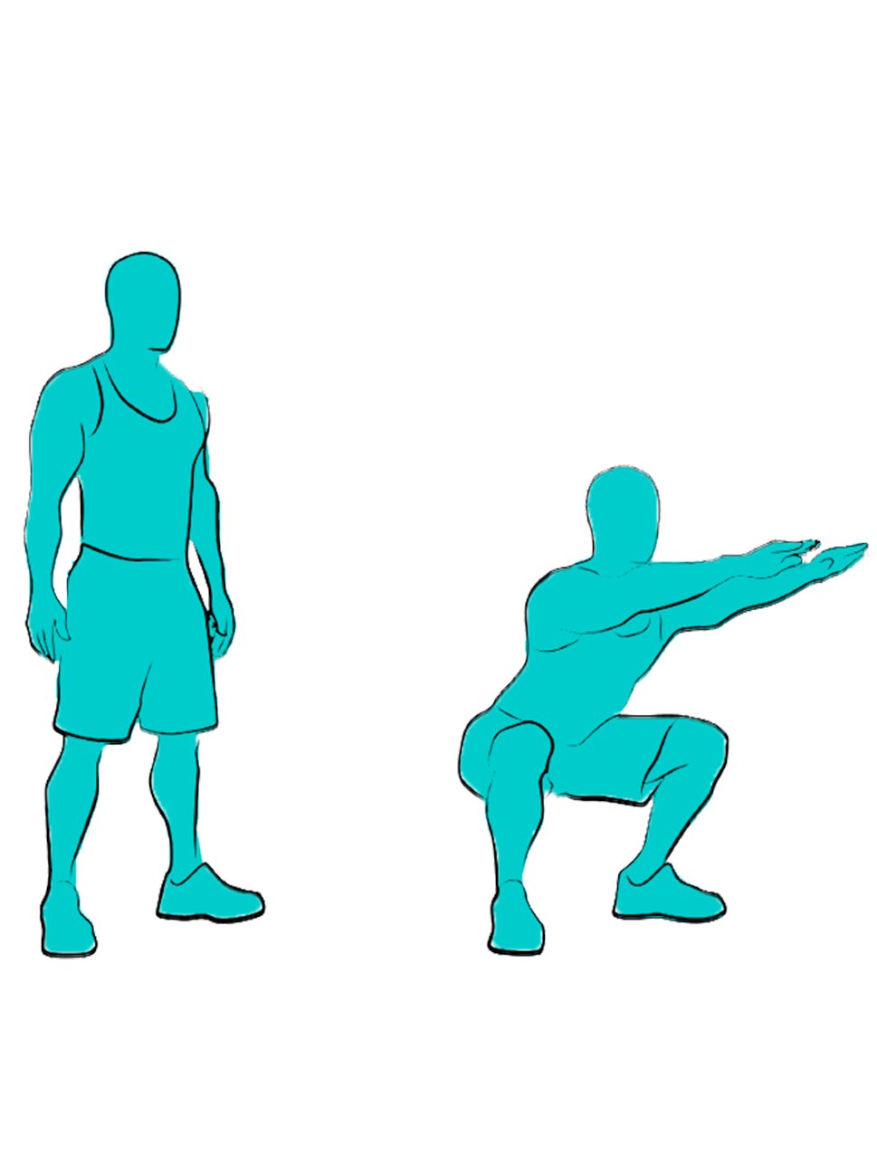 How to Squat Properly with Boardgains: Correct Form, Mistakes, and Variations - A Step-By-Step Guide